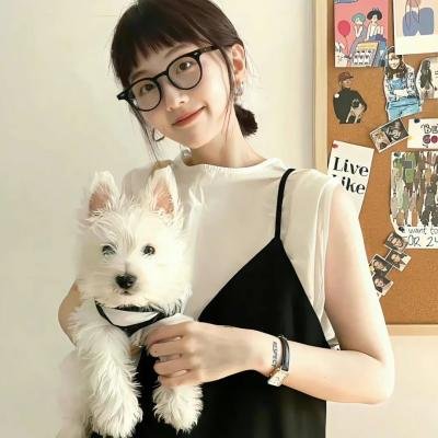 篷车之旅